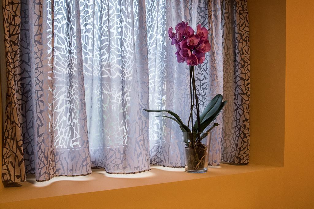 Amalur Etxea Guest House Echauri Екстериор снимка